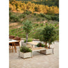 Cane-Line Sticks Planter Bench SET