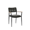 Diphano Ray Armchair (Teak Arm) (incl cushion)